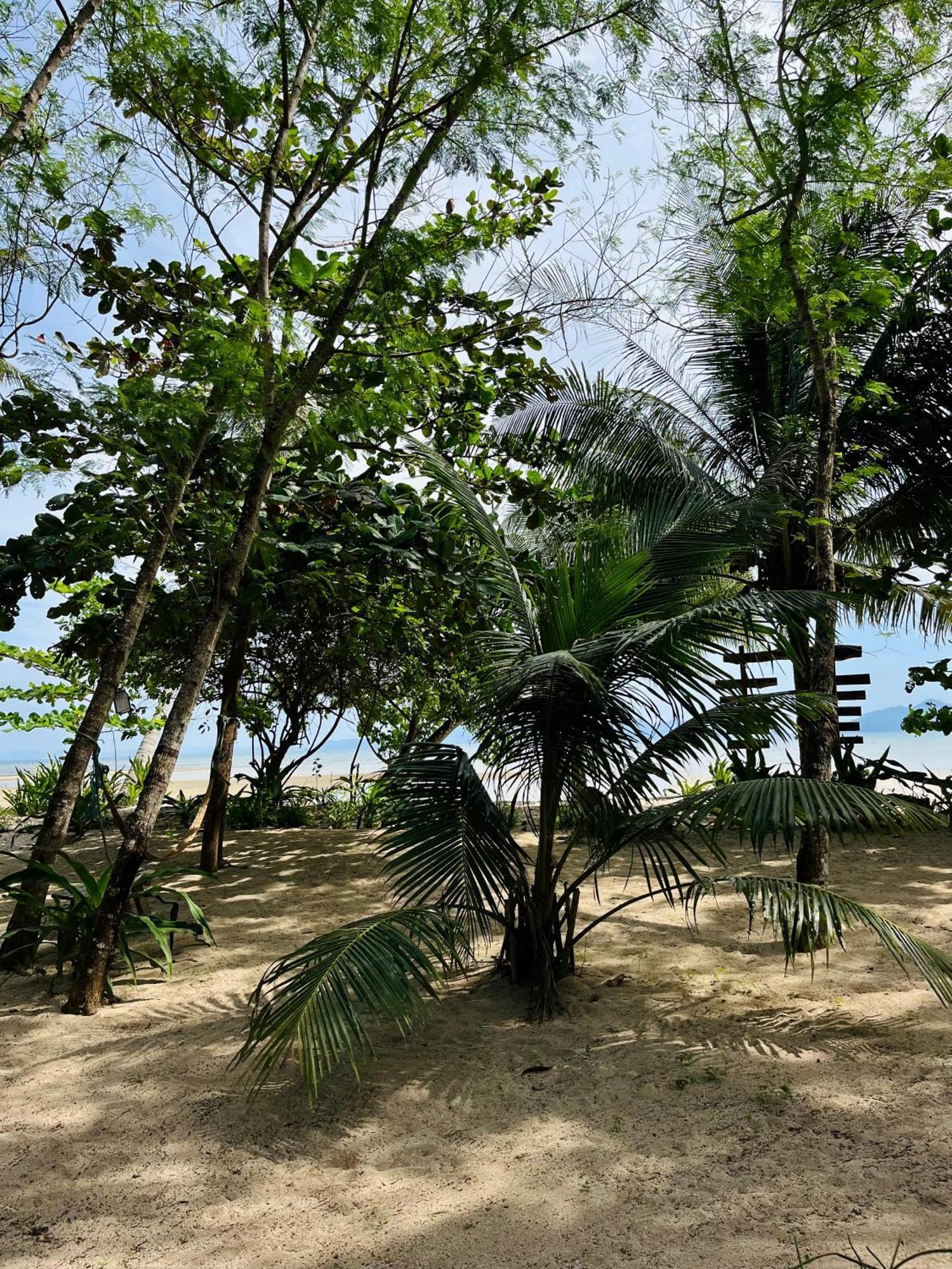 אל נידו Efrena Agro Tourism Beach מראה חיצוני תמונה