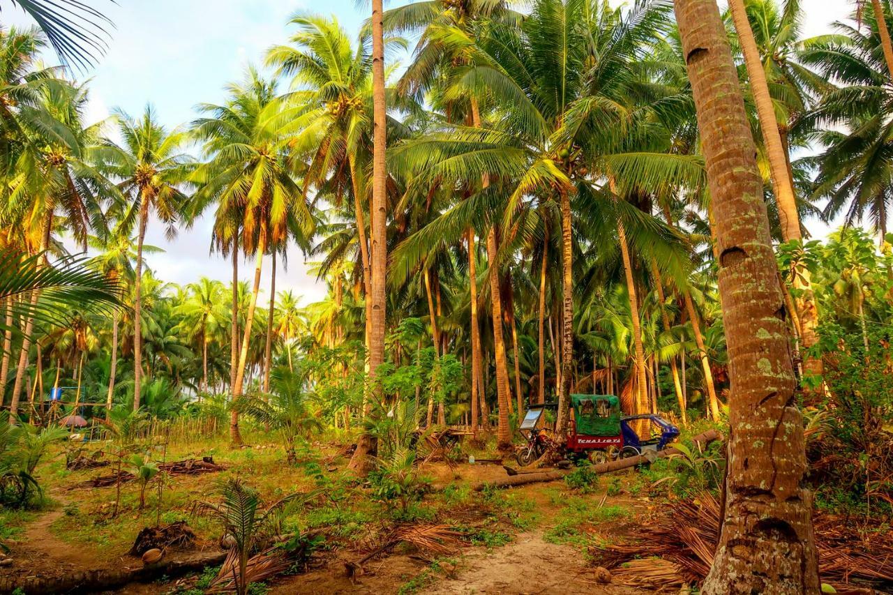 אל נידו Efrena Agro Tourism Beach מראה חיצוני תמונה